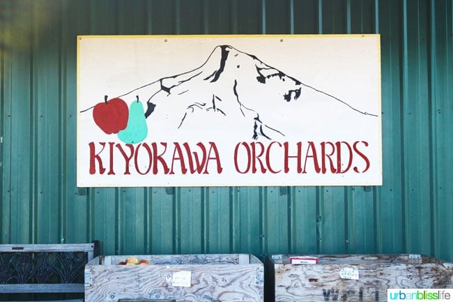 Kiyokawa Orchards in Hood River, Oregon. UrbanBlissLife.com