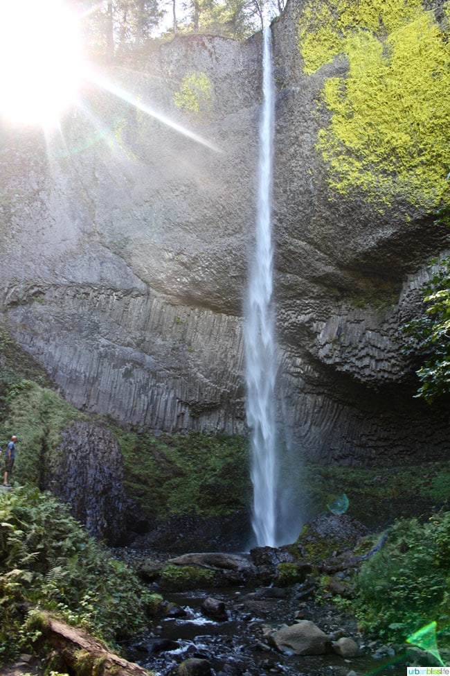 The Latourell Falls Loop is an easy, beautiful day hike along the Columbia River Gorge in Oregon. Travel tips on UrbanBlissLife.com