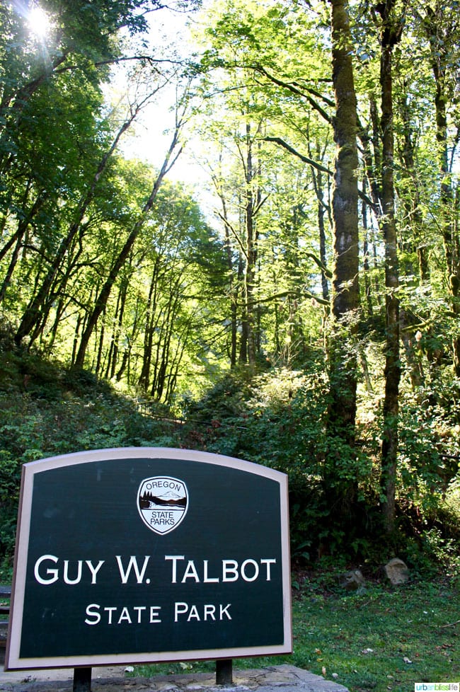 Latourell Falls Guy Talbot state park