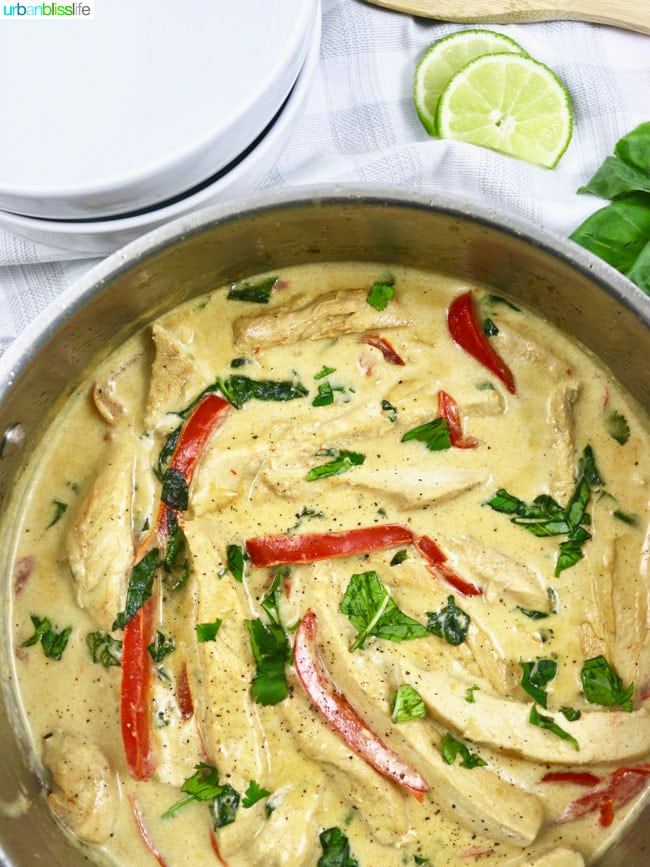 Healthy Hearty Meals - Thai Coconut Chicken recipe on UrbanBlissLife.com