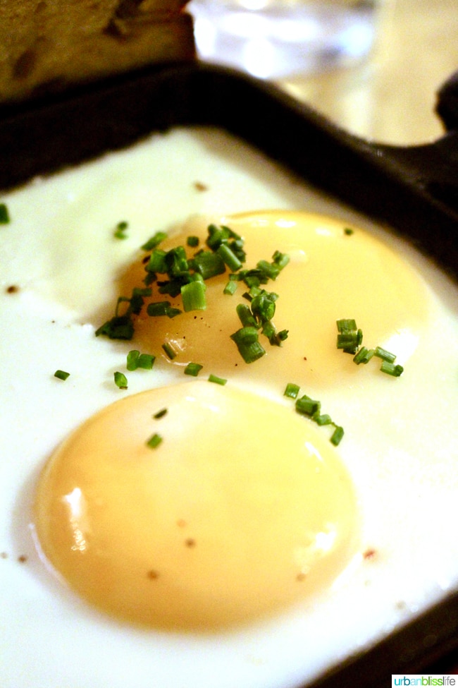 fried eggs close up