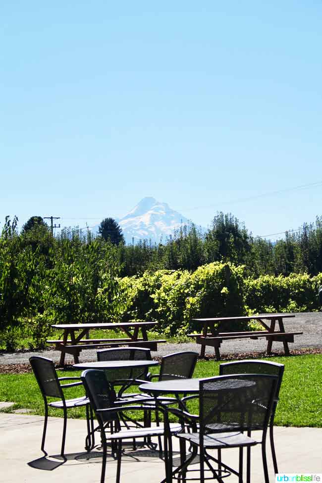 The Gorge White House in Hood River