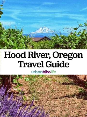 mount hood in the background of a lavender farm and vineyard in Hood River, Oregon.