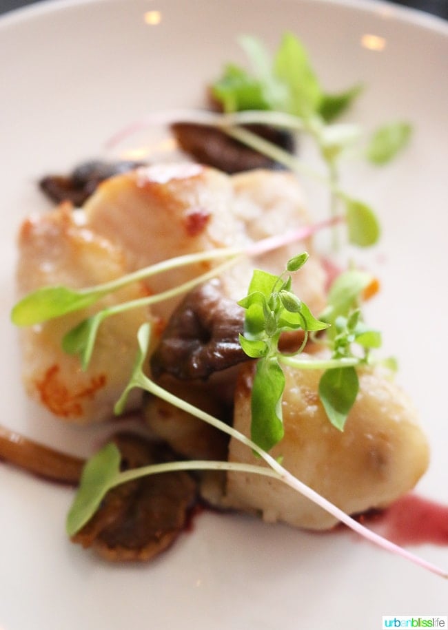 sturgeon at salishan restaurant samphire