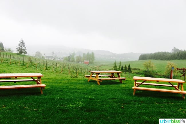 Outdoor benches at Domaine Divio Oregon winery in newberg