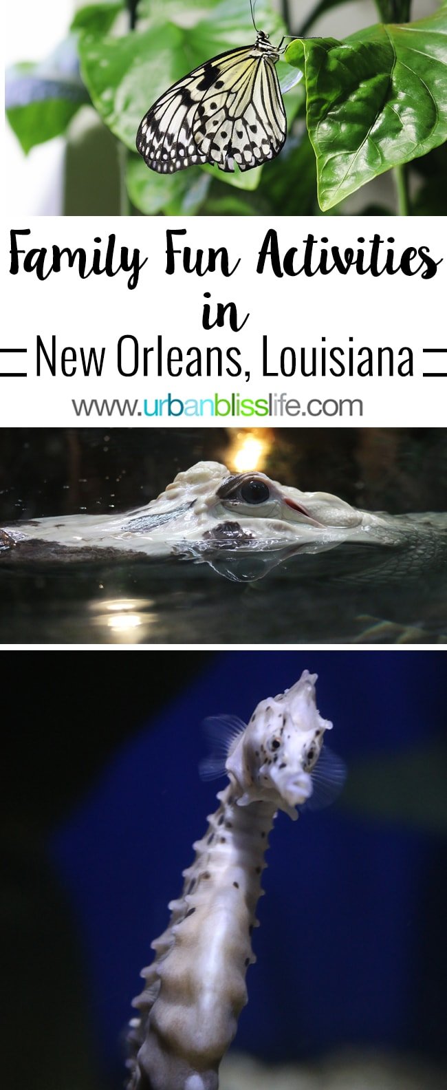 Family fun activities in New Orleans, Louisiana on UrbanBlissLife.com