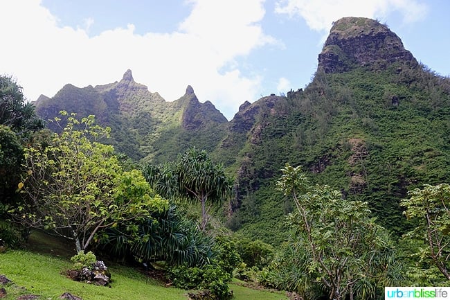 Kauai Limahuli Garden and Preseve travel tips on UrbanBlissLife.com