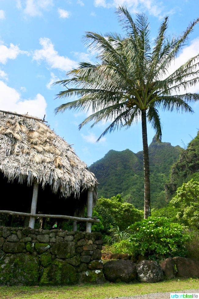 Kauai Limahuli Garden and Preserve