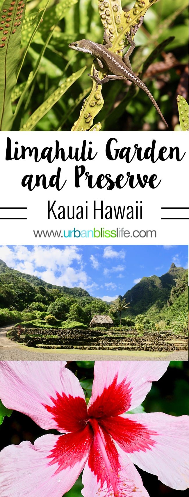 Places to visit on Kauai: Limahuli Garden and Preserve on UrbanBlissLife.com