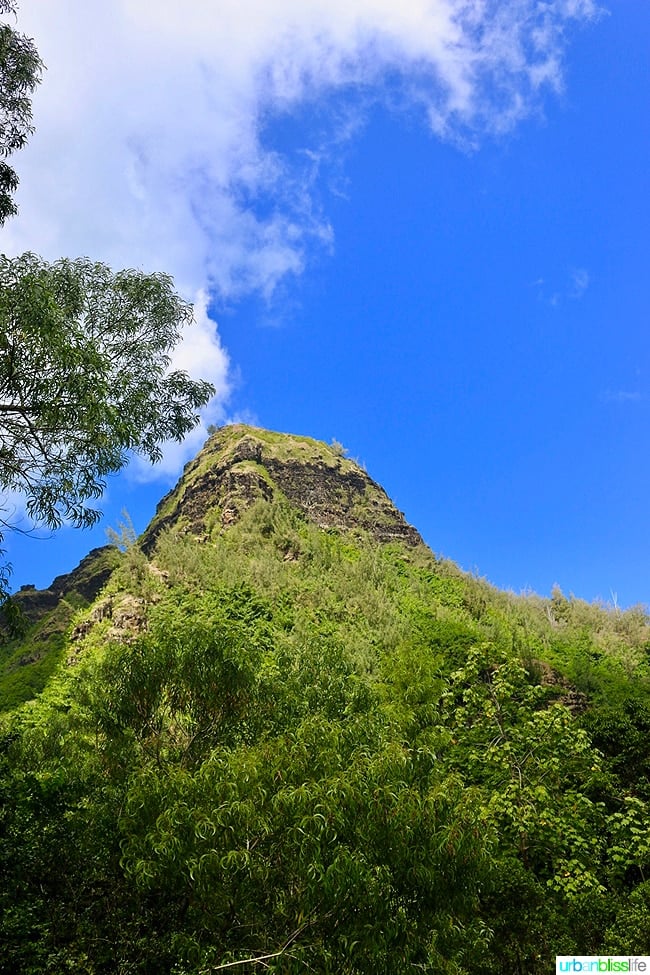 Kauai Limahuli Garden and Preserve