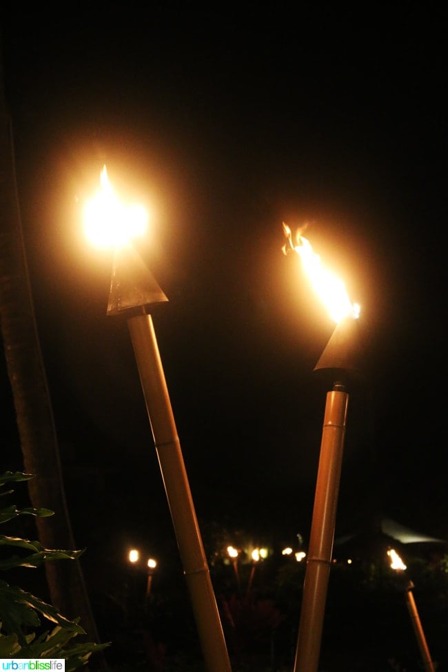 tiki torches lit up at night