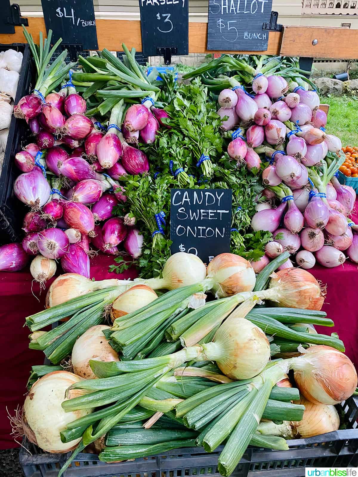 Portland Farmers Market stand with different types of onions.