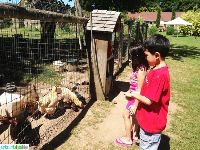 50 Things to Do in Portland, Oregon With Kids During the Summer - Smith Berry Barn, travel tips on UrbanBlissLife.com.