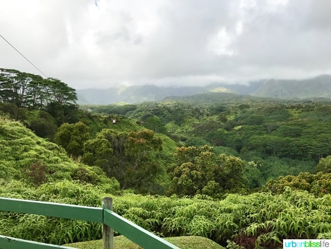 Ziplining and Kayaking in Kauai on UrbanBlissLife.com