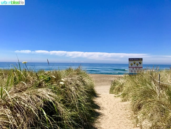 pacific ocean sandy trail