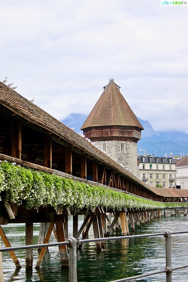 things to do in Lucerne: kapellbrucke in lucerne, switzerland