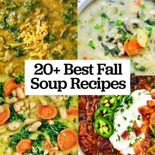 four fall soups with title text overlay "20+ Best Fall Soup Recipes."