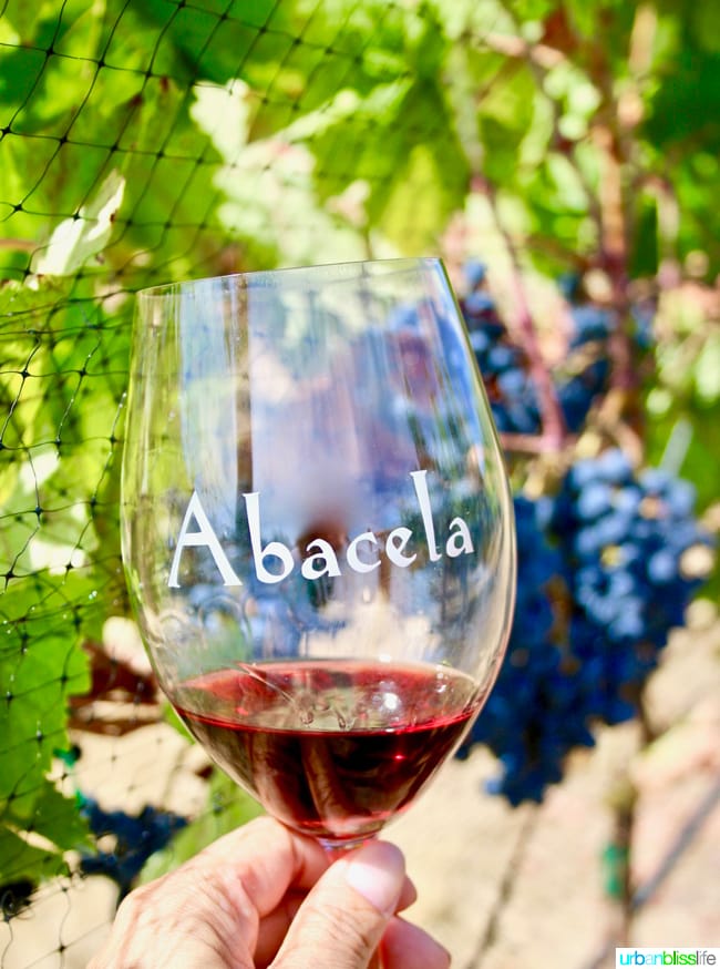 Wine tasting at Abacela Winery in Roseburg, Oregon wine country, on UrbanBlissLife.com