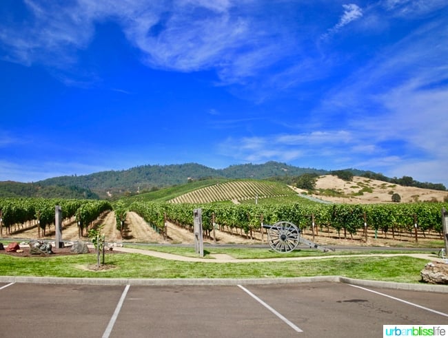 Wine tasting at Abacela Winery in Roseburg, Oregon wine country, on UrbanBlissLife.com