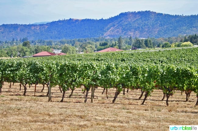 Wine tasting at Abacela Winery in Roseburg, Oregon wine country, on UrbanBlissLife.com