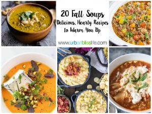 20 best fall soup recipes to keep you warm and toasty! Get the recipes on UrbanBlissLife.com.
