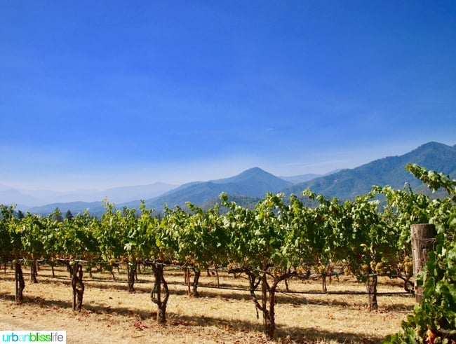 wine tours grants pass oregon