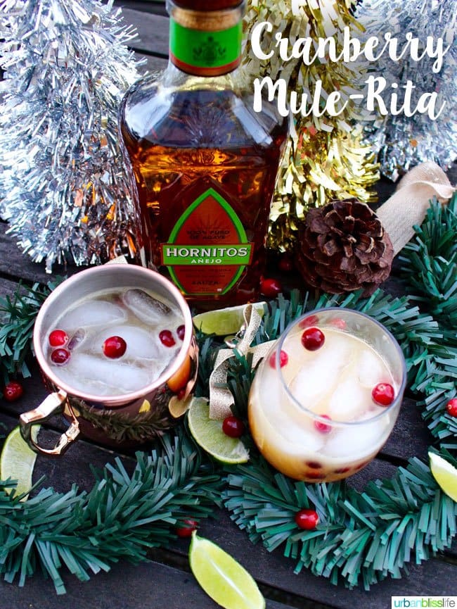 Cranberry Mule-Rita 20 Festive Winter Party Cocktails on UrbanBlissLife.com