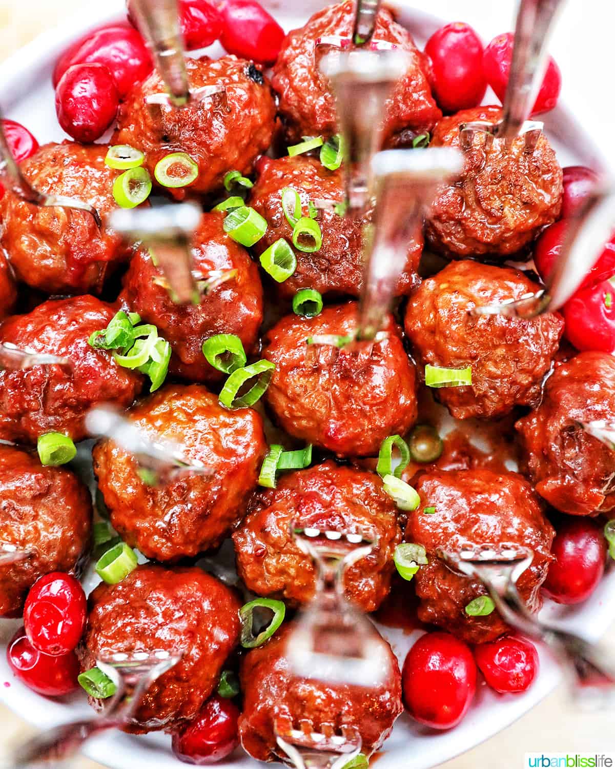 Instant Pot Cranberry Meatballs
