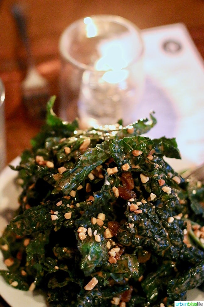 Kale Salad at Radar restaurant in North Mississippi Ave in Portland, Oregon