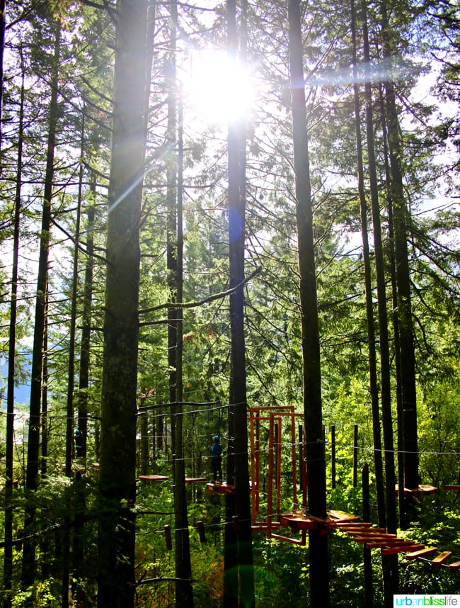 Skamania Lodge Aerial Park. Travel stories & hotel reviews on UrbanBlissLife.com