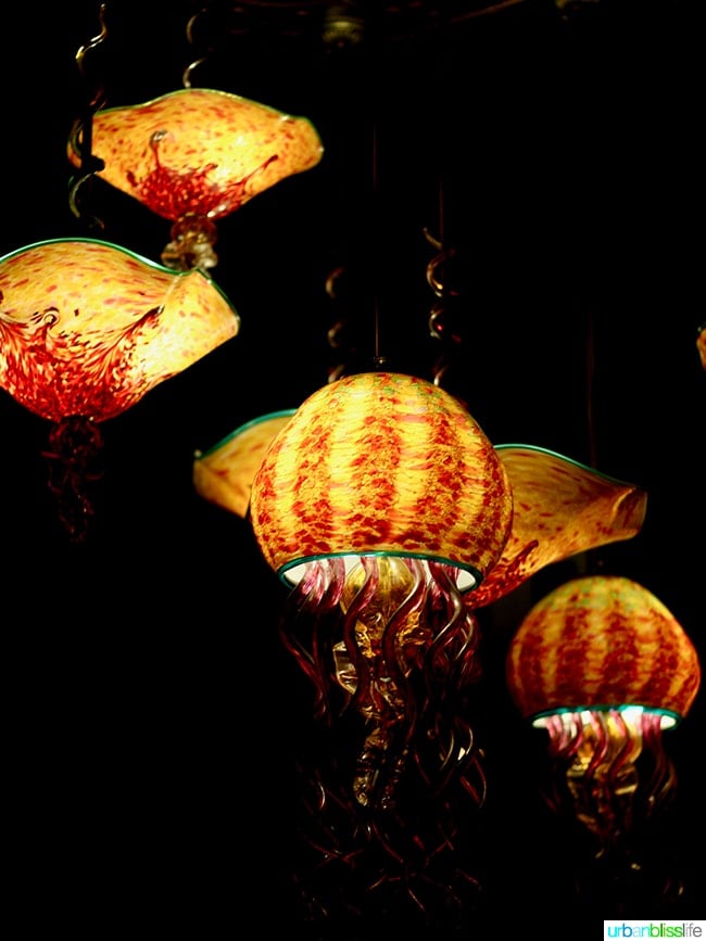 jellyfish lights at Cabezon restaurant in Portland, Oregon. Full restaurant details on UrbanBlissLife.com