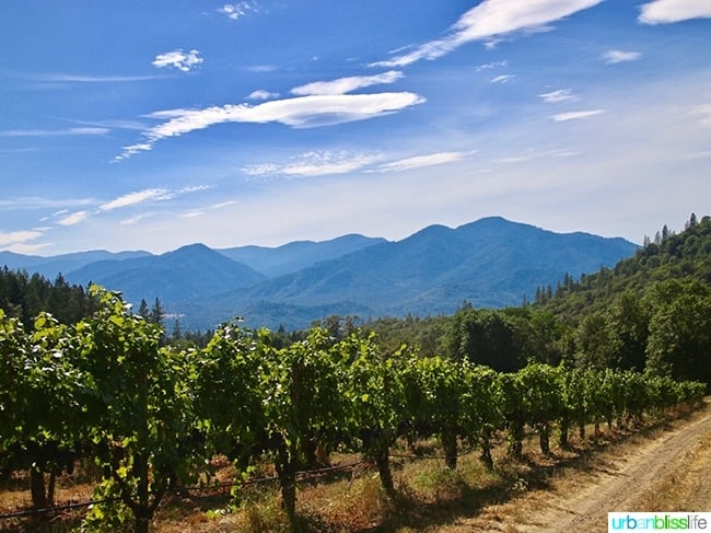 Wooldridge Creek Winery Grants Pass, Oregon Applegate Valley wine tasting and tour, on UrbanBlissLIfe.com