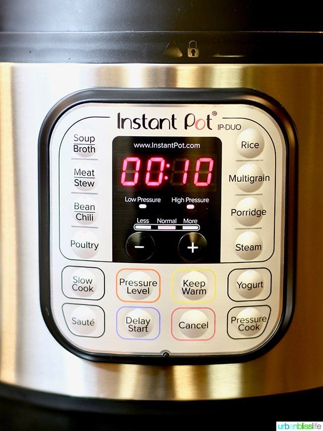 8 quart Instant Pot Duo