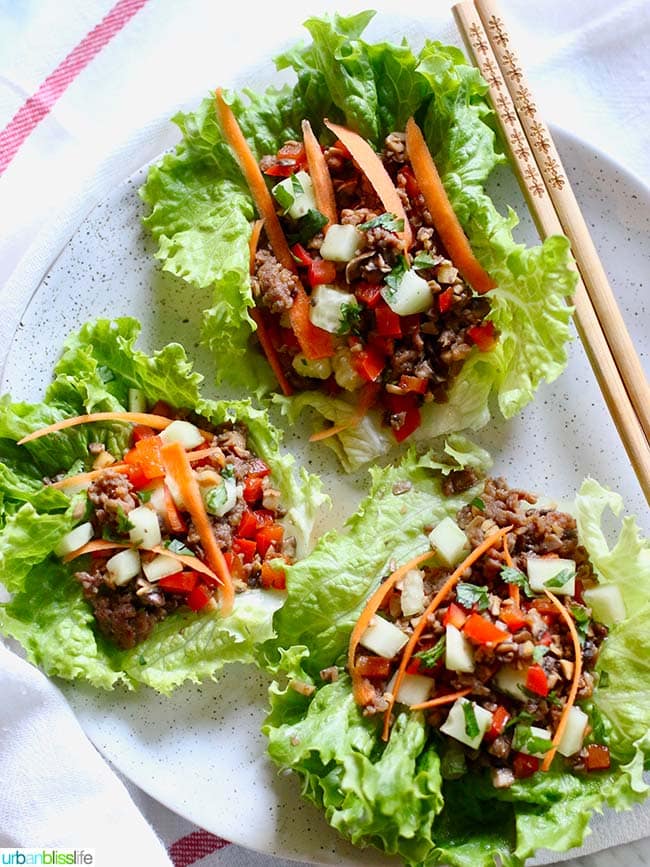 Teriyaki Mushroom Sausage Low Carb Lettuce Wraps