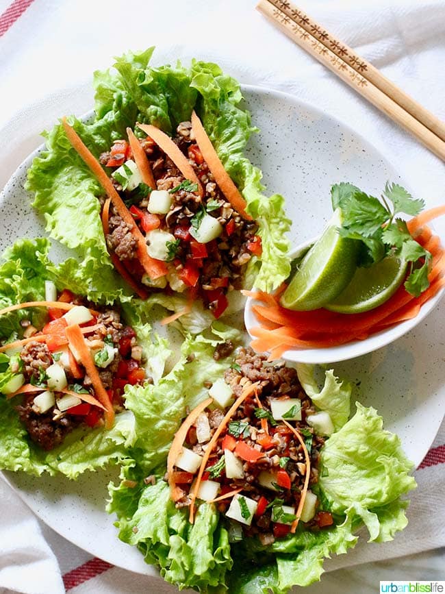 Teriyaki Mushroom Sausage Low Carb Lettuce Wraps