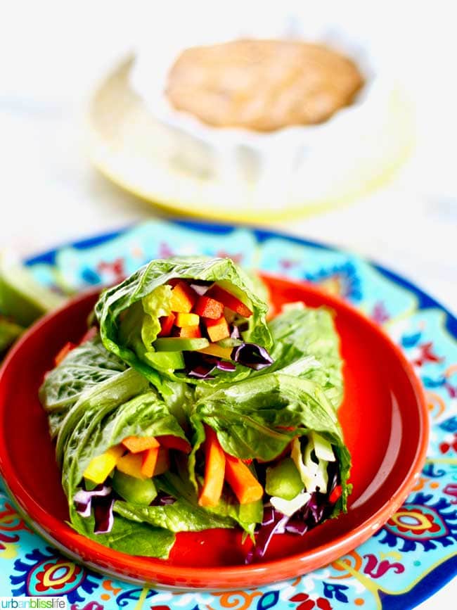 Rainbow salad rolls on a plate