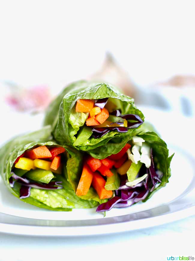 Rainbow Salad Rolls