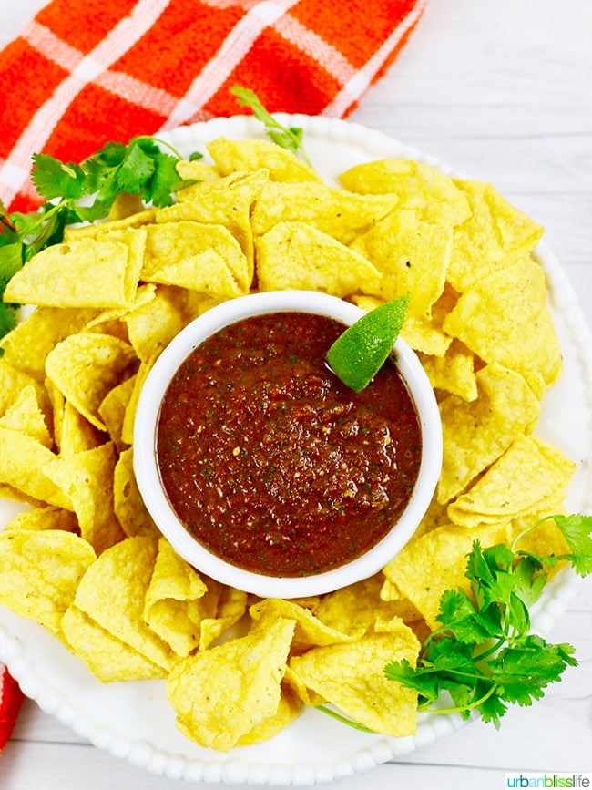 Blender Salsa - Simple Joy