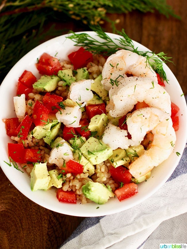 shrimp avocado brown rice bowl close up