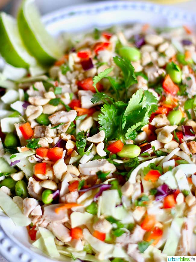 Thai Chicken Salad with Peanut Dressing - CPK Copycat recipe