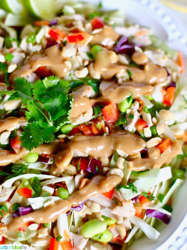 Thai Chicken Salad close up with dressing