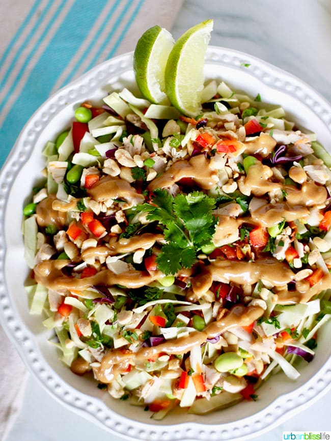 Thai Chicken Salad With Peanut Dressing Cpk Copycat Recipe