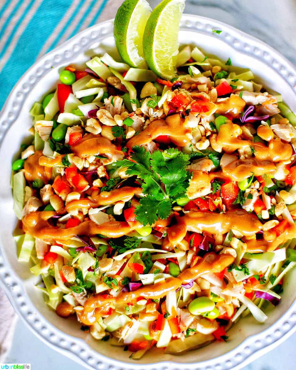 big bowl of Thai chicken salad with lime slices