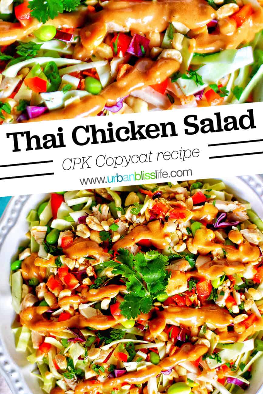 big bowl of Thai chicken salad with title text
