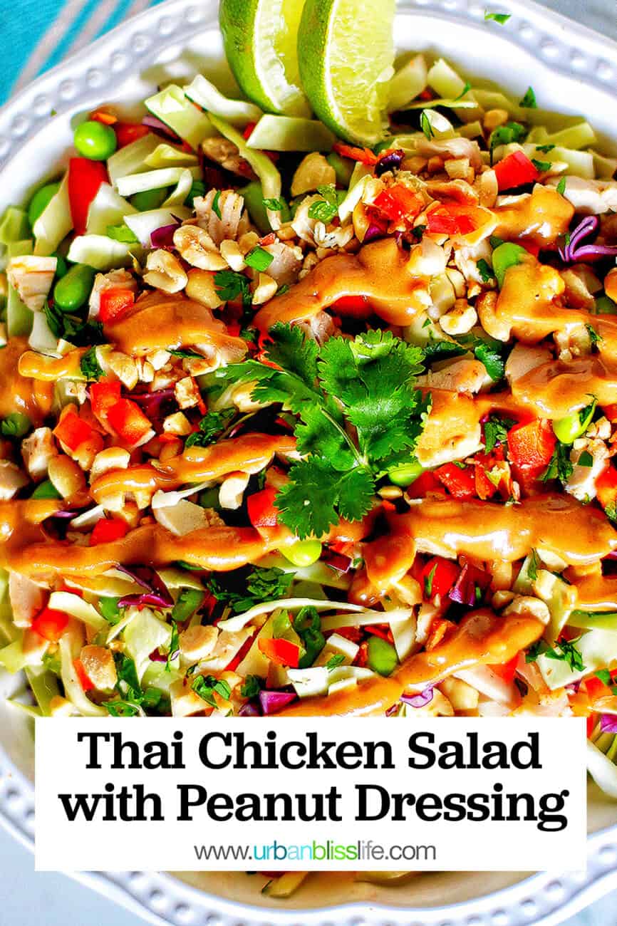 big bowl of Thai chicken salad with title text