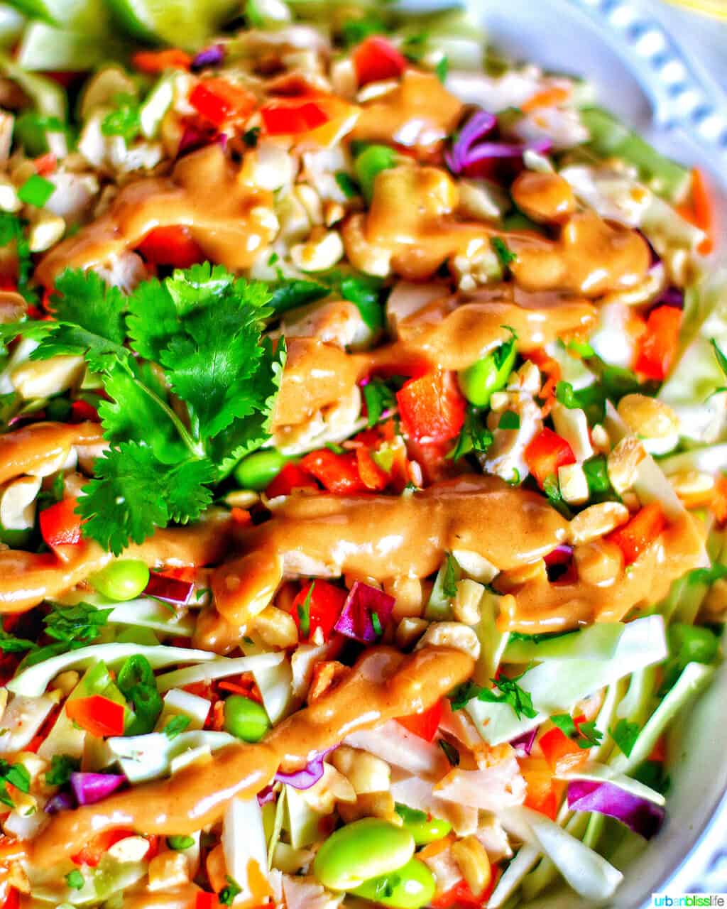 closeup of Thai chicken salad 