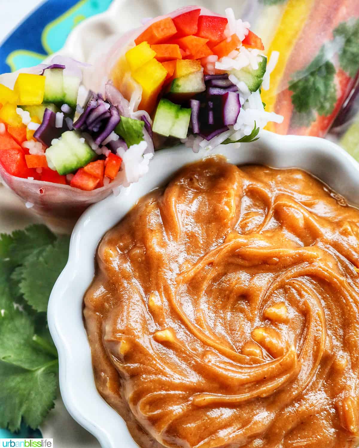 Thai peanut sauce in a white bowl with two rainbow spring rolls.