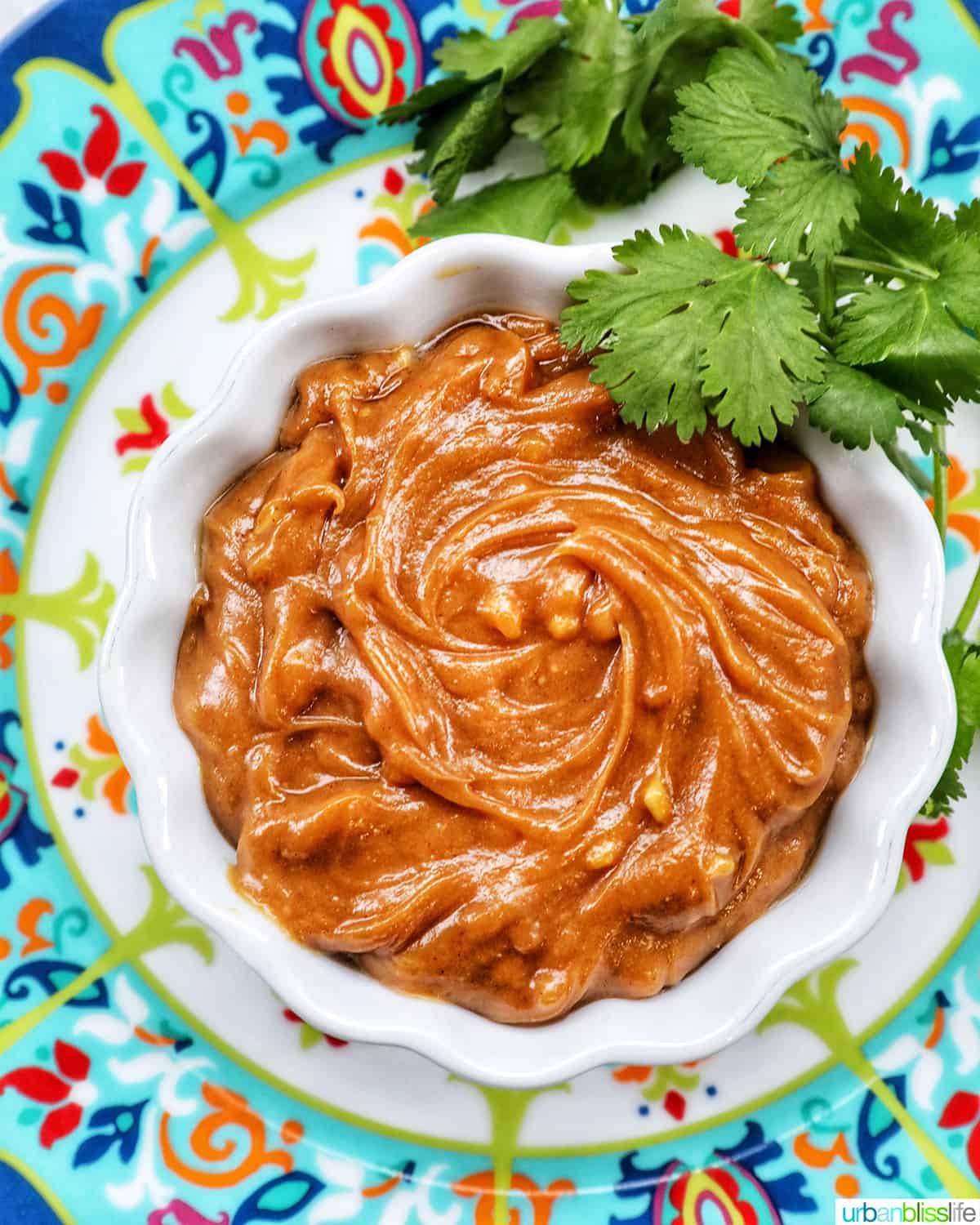 Thai peanut sauce in a white bowl with fresh cilantro leaves on a colorful patterned plate.