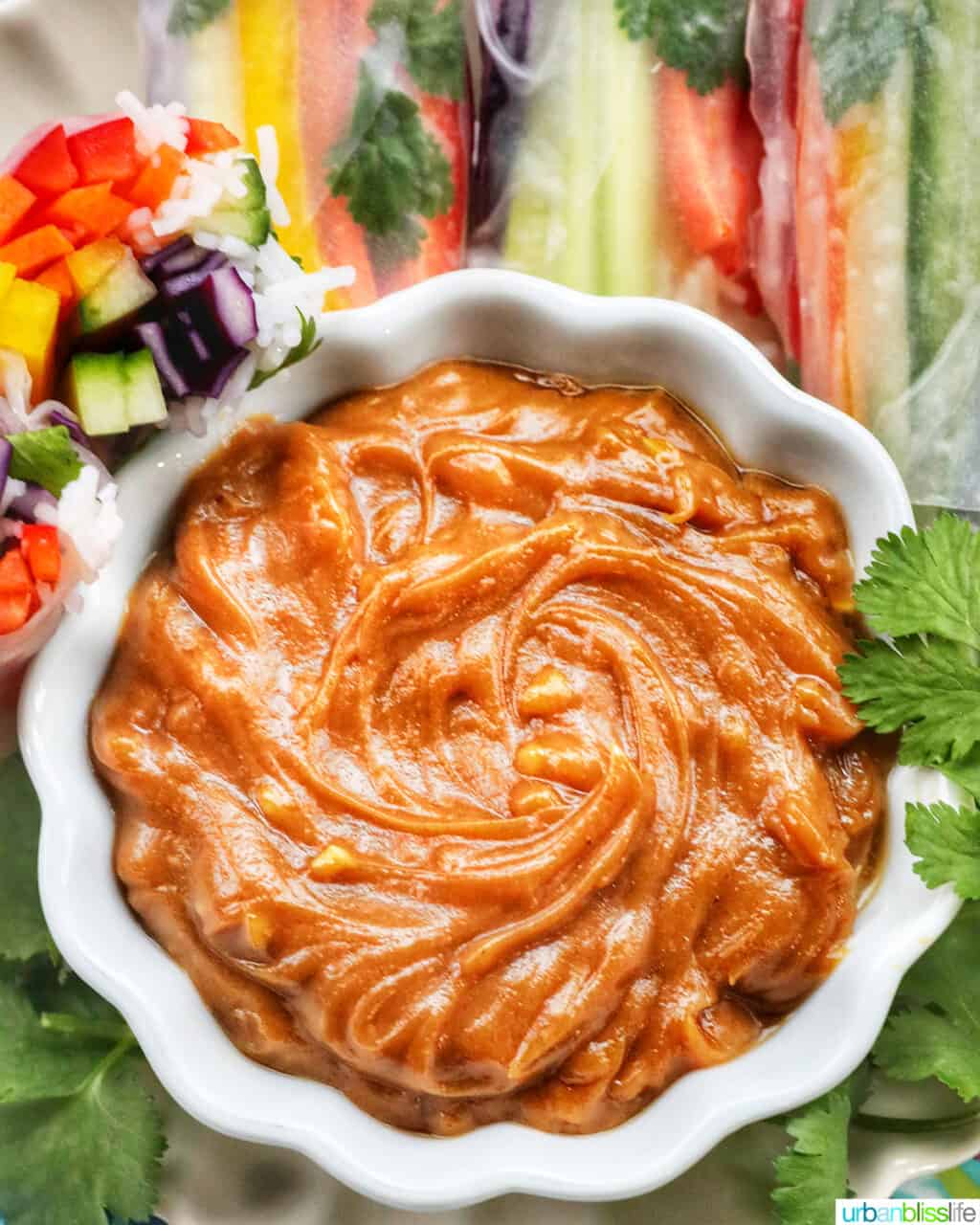 Thai Peanut Sauce Recipe (Easy, 10Minute) Urban Bliss Life
