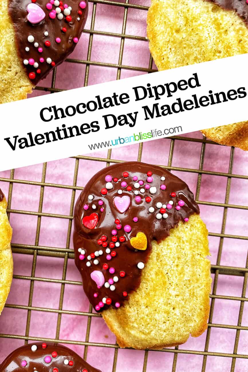 chocolate dipped madeleines with text overlay